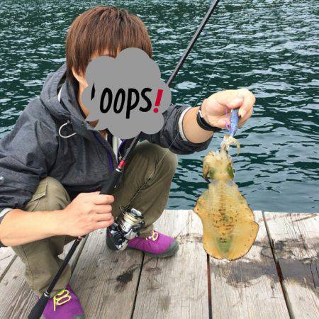 高浜　渡船屋さんでのエギング釣行　そこそこ…