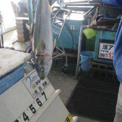 堺堤防でメジロ！！フカセ・オキアミボイルにて