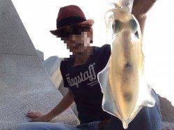 海南エリアでエギング　今シーズン一番重量感あるアオリイカ