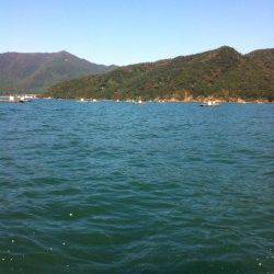 犬見～本郷の波止にて探り釣りでガシラ2匹ゲット