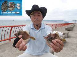 平磯海釣り公園　投げ釣りでベラ・カワハギの…