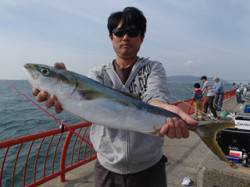 平磯海釣り公園　ノマセでメジロ66cm