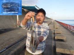 平磯海づり公園でアオリイカ☆エギングでナイ…