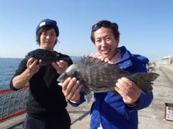 平磯海づり公園　ウキ釣りで良型チヌ・グレ