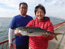 平磯海釣り公園　ノマセでメジロ62cm