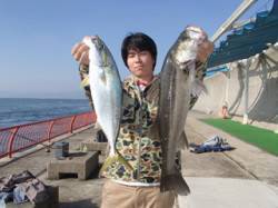 平磯海づり公園　良型のハマチとハネをキャッ…