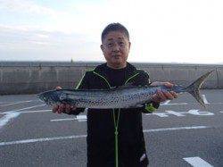 平磯海づり公園　サワラ78cmをキャッチ！