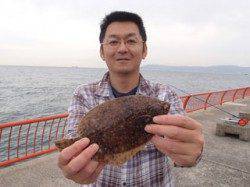 平磯海づり公園　投げ釣りでカレイの釣果