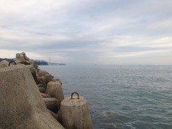 デイアジングをテーマに淡輪漁港へ　アジのほか多魚種とふれあえ楽しい一日