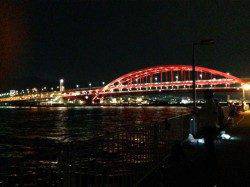 北公園 夕方はサビキでアジ、夜からは石ゴカイで穴子3匹GET！