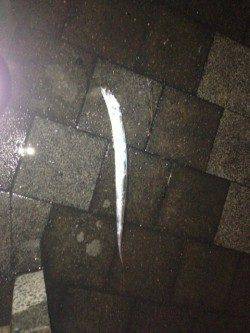 飾磨～広畑周辺タチウオワインド　足元でヒットしました！