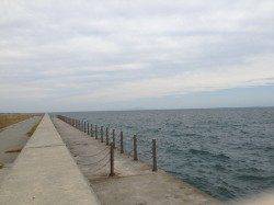 西浦を投げ釣りで探ってきました　江井と富島でキス26匹