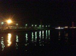 仕事帰りに南港アジングへ直行　ボトム付近でアジの釣果♪