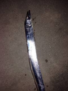 戸坂・塩津漁港周辺　アジングタックルでタチ…