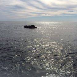 太地地磯　ダート系ジグヘッドのボトムワインドで良型アカハタ