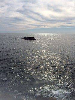 太地地磯　ダート系ジグヘッドのボトムワインドで良型アカハタ