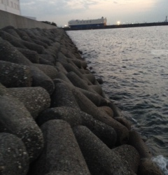 助松埠頭外向きテトラでタチウオ釣り　人多いですが簡単に釣れるのは魅力♪