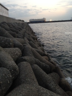 助松埠頭外向きテトラでタチウオ釣り　人多いですが簡単に釣れるのは魅力♪