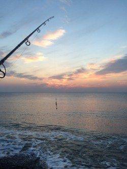 朝まずめ狙いで大浜へ　ナブラにフルキャストしてツバスの釣果