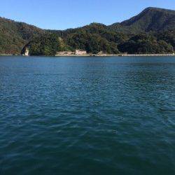 家族連れで賑わう柴山でサヨリ釣り　良いサイズ沢山釣れています