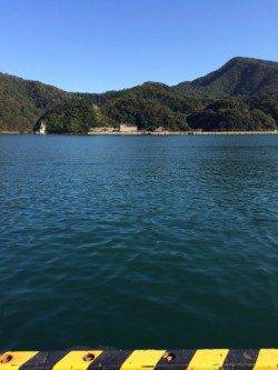 家族連れで賑わう柴山でサヨリ釣り　良いサイズ沢山釣れています