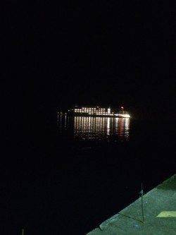 勝浦港にてアジング　ライズはあるが口を使わすことができず…