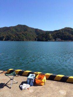 最高の秋晴れのなかサヨリ釣り　平日でも賑わう柴山港