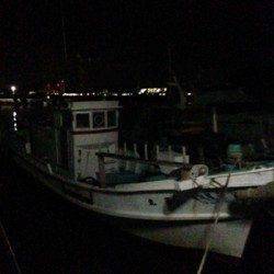 海南　夜中1時からのライトゲームでアジ＆カマス