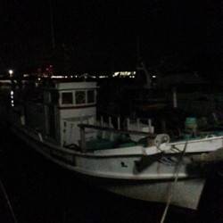 海南　夜中1時からのライトゲームでアジ＆カマス