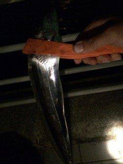 大阪南港　強風の中でもタチウオ釣りは超満員