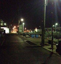 尾崎漁港　雨がやんでから連続でアジ7匹GET！