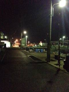 尾崎漁港　雨がやんでから連続でアジ7匹GET！