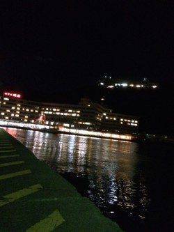 台風後の勝浦港でアジのライズ　小一時間ほど入れ食い楽しめました♪