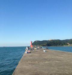 加太漁港　ショアジギングでサゴシが釣れました