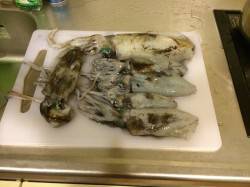 宇久　沖の筏でエギング&カワハギ釣…