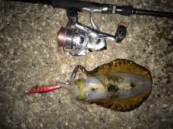 田ノ浦漁港など４箇所エギングでランガンして…