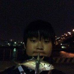 南港アジング釣行　台風前よりだいぶん渋くなっています