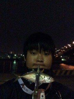 南港アジング釣行　台風前よりだいぶん渋くなっています