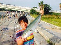 翼港でノマセ釣り メジロ72㎝&66cm&ツバスに大興奮☆