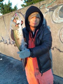 西宮浜　朝マズメにワインド　サゴシ45cm…