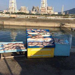 マリーナシティ海洋釣り堀　マダイに青物に超大漁