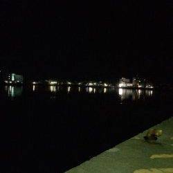 勝浦港アジングへ　表層から中層でアジ、ボトムを探るとガシラ