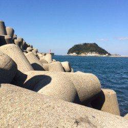 香住東港にて穴釣りでガシラ　波で仕掛けが底まで落ちず断念…