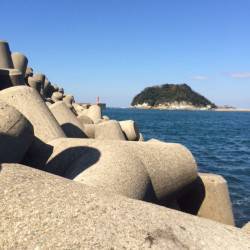 香住東港にて穴釣りでガシラ　波で仕掛けが底まで落ちず断念…