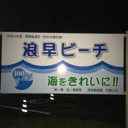 田ノ浦漁港など４箇所エギングでランガンして250gサイズ一杯ゲット！