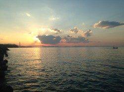 淡輪漁港にてアジング　１時間ほどバイトラッシュ♪