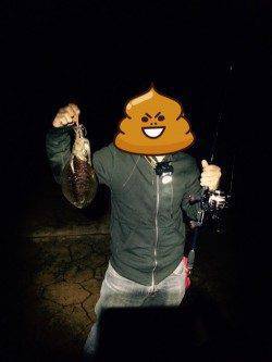 由良海つり公園　台風前のエギング釣果でアオリイカのトンカツサイズ