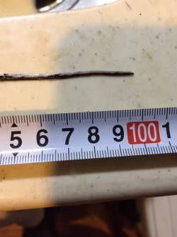 舞洲でタチウオ狙いへ　初のドラゴンサイズが…