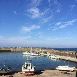 田杭の地磯でのエギング　苦労の末アオリイカ3バイ