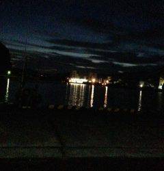 田村漁港　漁港内にてアジング、激渋で3投ごとカラーローテーション！